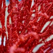 Fotografia per siti web e social