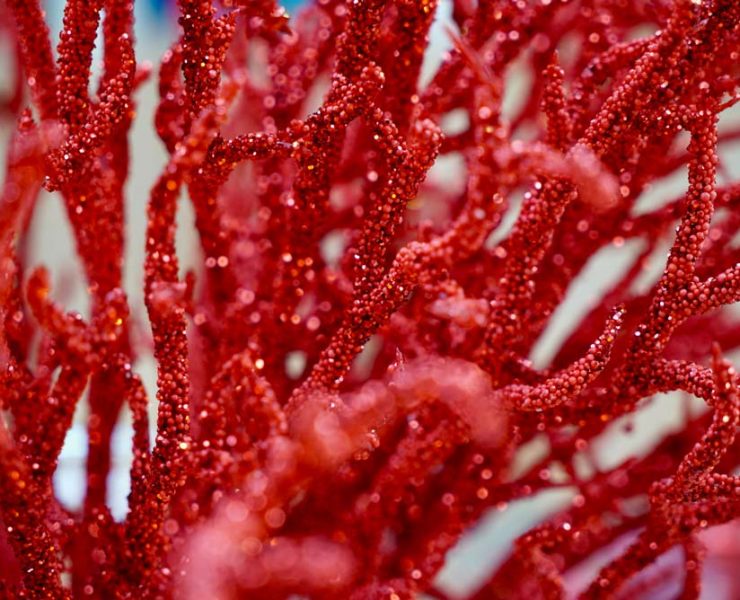 Fotografia per siti web e social