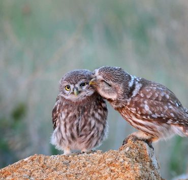 Alla fine vincono i buoni