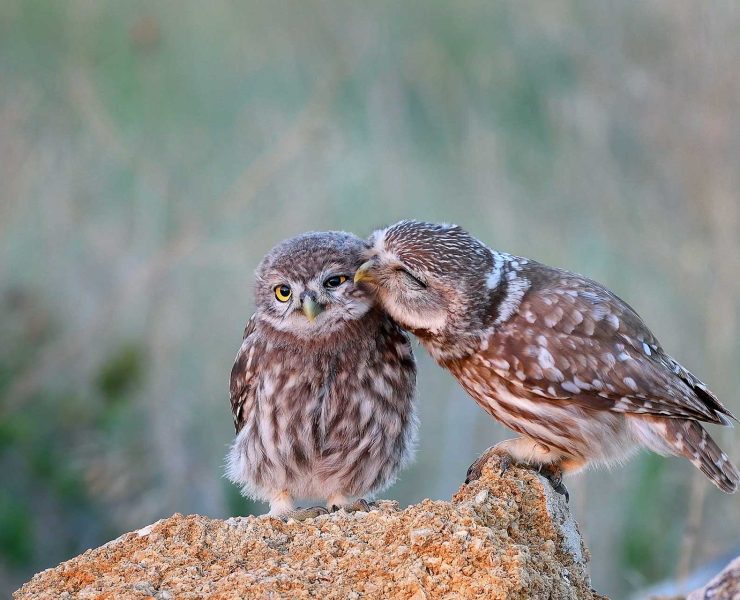 Alla fine vincono i buoni