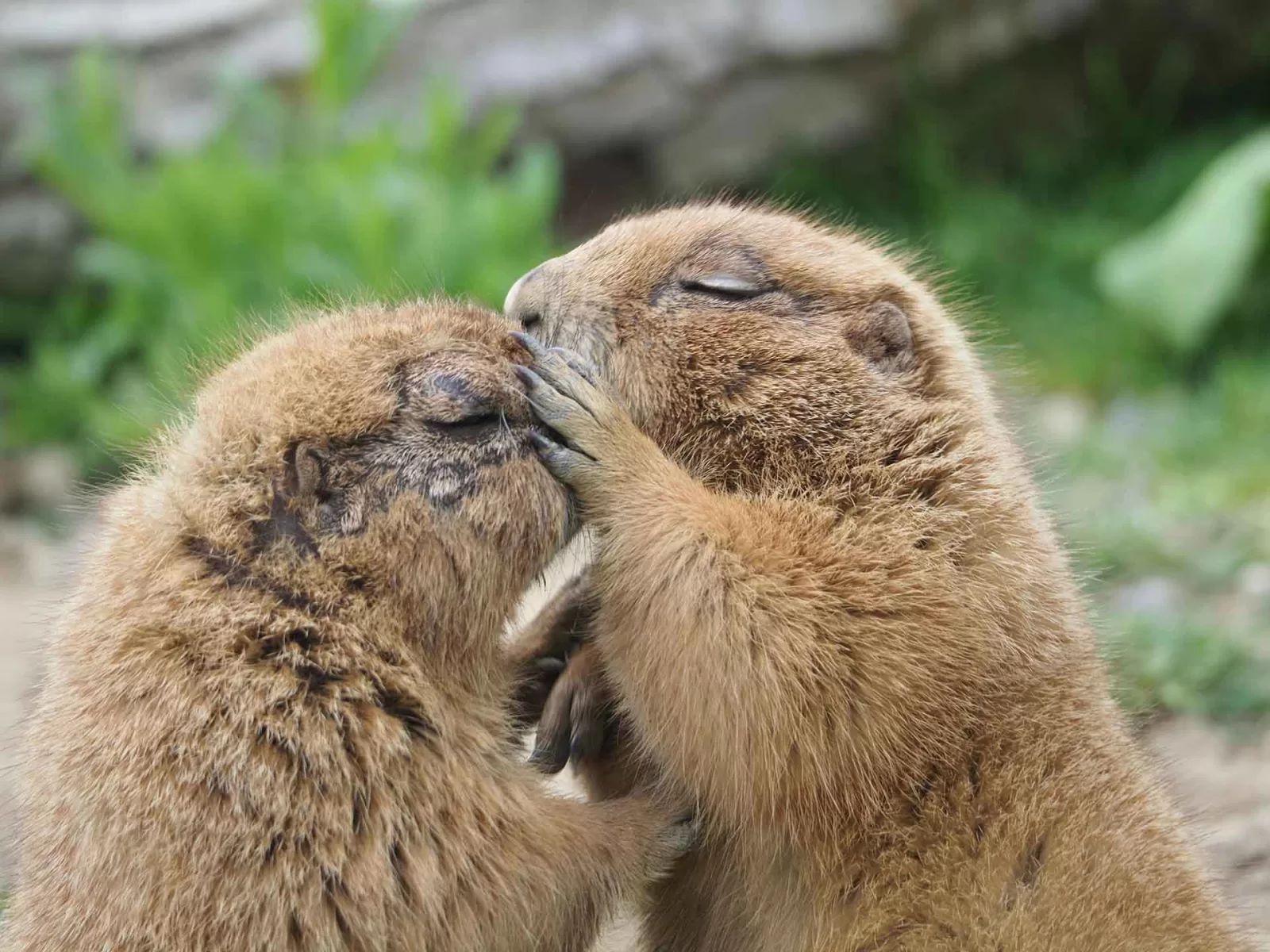 costruire relazioni con LinkedIn