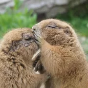 costruire relazioni con LinkedIn