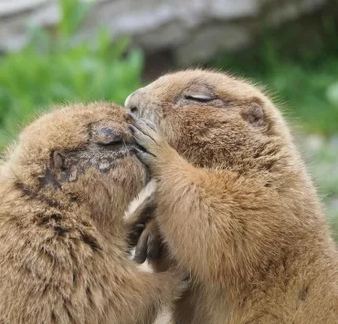 costruire relazioni con LinkedIn