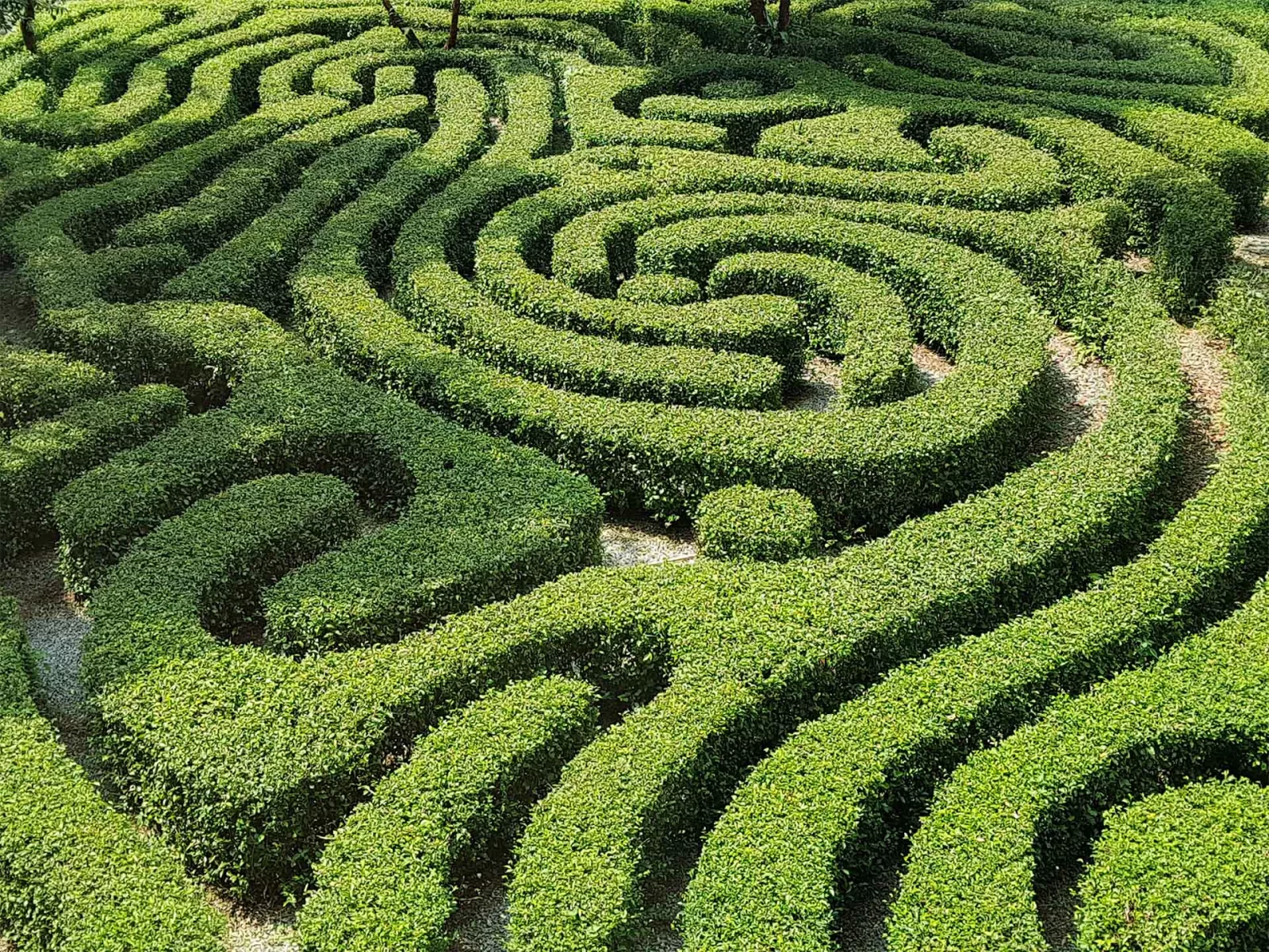 digital marketing: quanto investire. un labirinto di scelte e di decisioni.