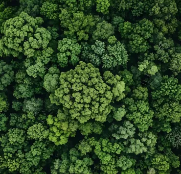 ecosistema digitale: social e sito lavorano insieme