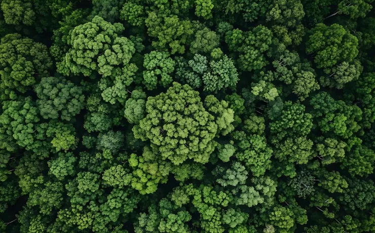 ecosistema digitale: social e sito lavorano insieme