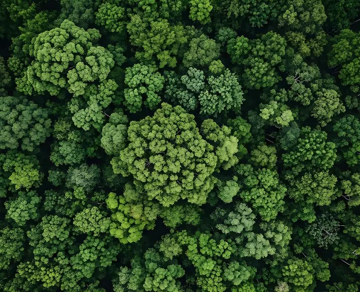 ecosistema digitale: social e sito lavorano insieme