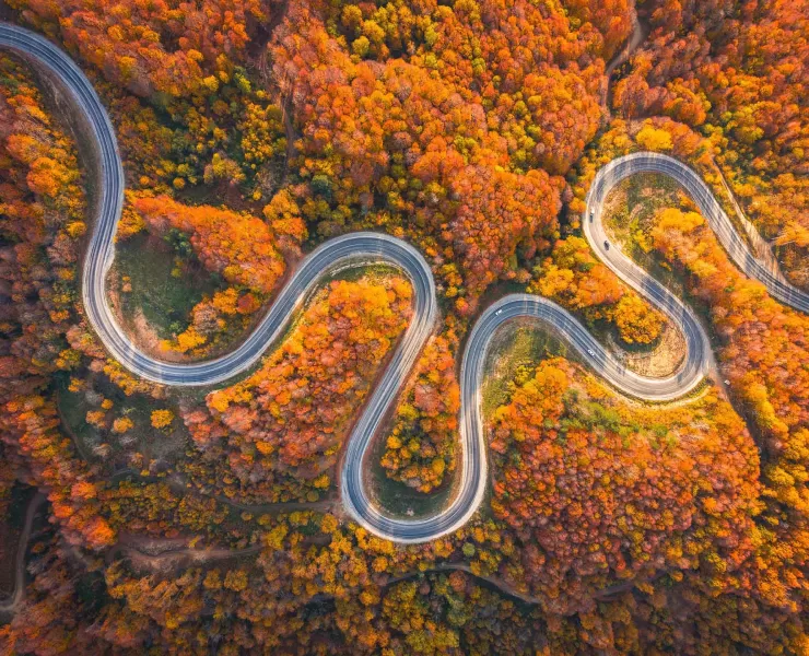 Marketing e intelligenza artificiale: il ruolo dell’agenzia; meno esecuzione, più direzione