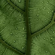 strategie di promozione locale online