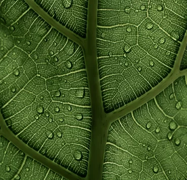 strategie di promozione locale online