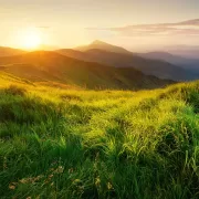 seo posizionamento sito