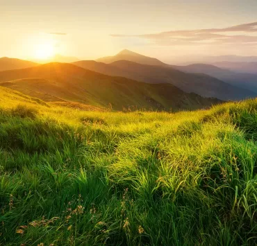 seo posizionamento sito