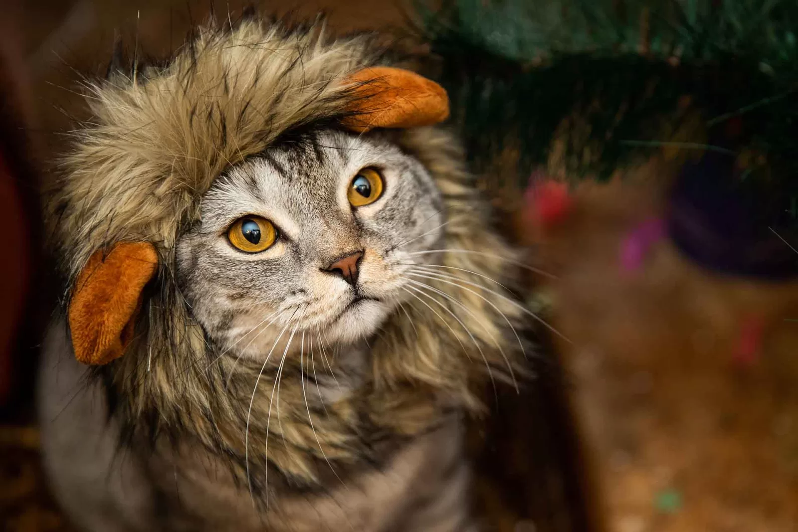 siamo tutti leader di mercato: la pagina chi siamo dei siti