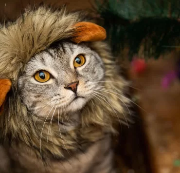 siamo tutti leader di mercato: la pagina chi siamo dei siti