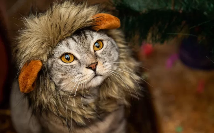 siamo tutti leader di mercato: la pagina chi siamo dei siti