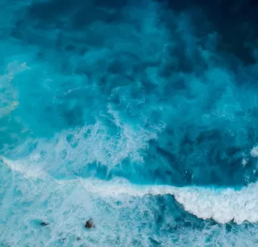 Strategia Oceano Blu