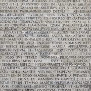 verba volant scripta manent